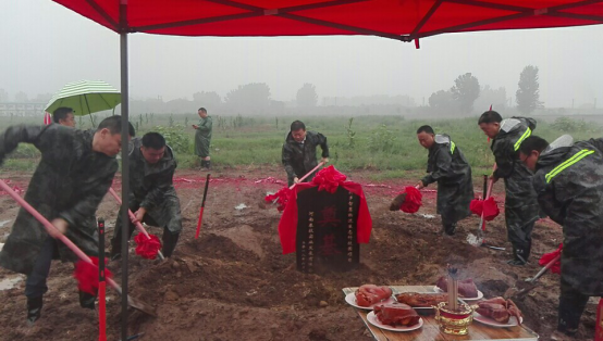 泰投-新闻资讯可以上传的文章415