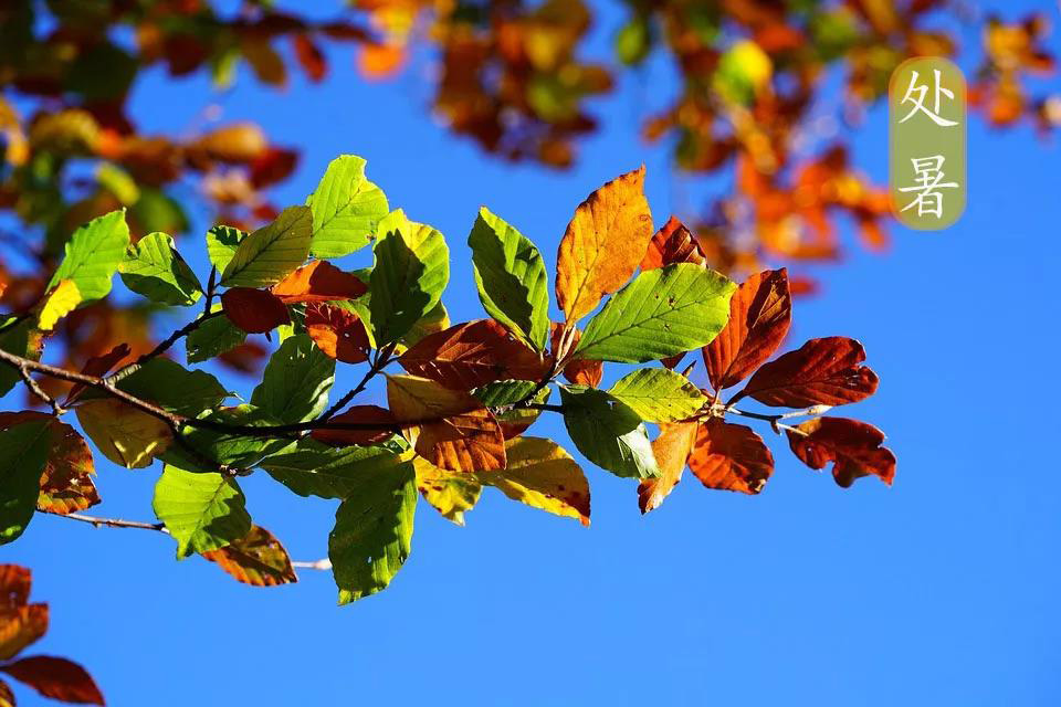 微信图片_20210825172043