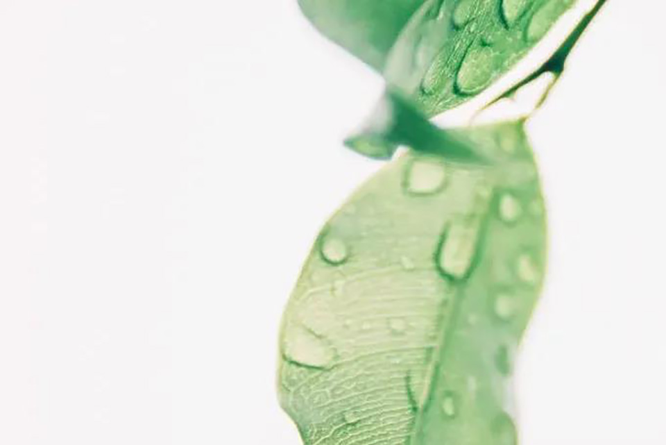 微信图片_20210825172118