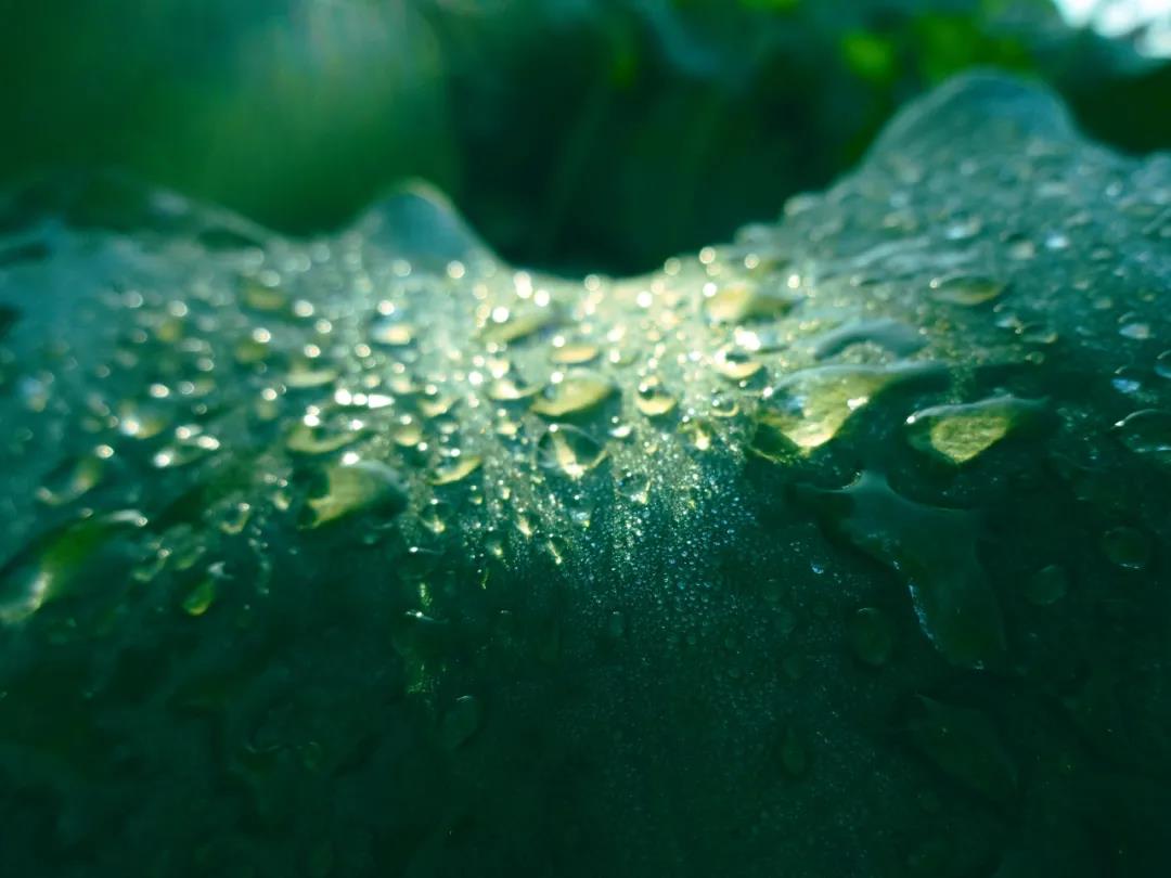 微信图片_20210916110459